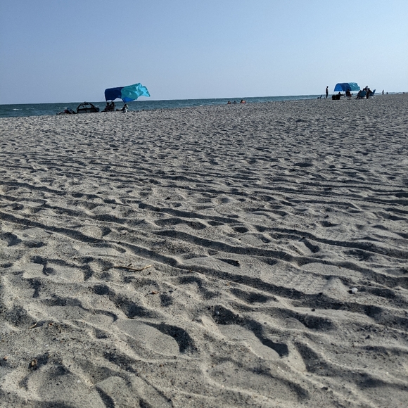 Meet your Posher, Tessie - Picture 2 of 16